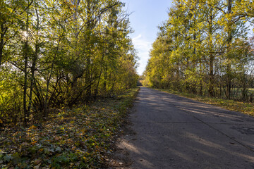 Obraz premium an old road with bumps and damage in the autumn of the year in the evening, a landscape on a rural highway with trees growing on the side of the road during leaf fall