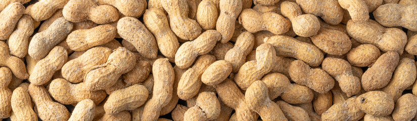 Roasted and salted peanuts on black stone background