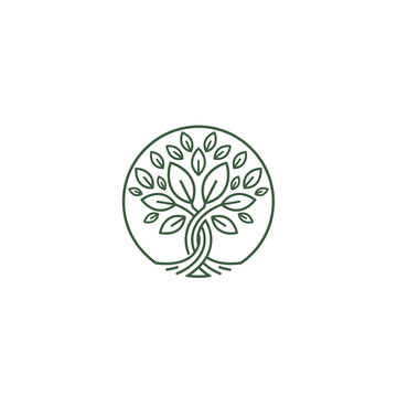 Stylized green tree with interwoven roots and leaves, enclosed in a circle