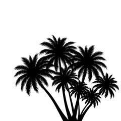 Silhouetted palm trees against a white sky, a tropical scene