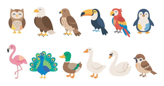 Collection of cute cartoon bird characters including an owl, eagle, toucan, parrot, penguin, flamingo, and peacock in a charming flat vector illustration style for kids