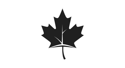 Obraz premium Black maple leaf silhouette isolated graphic on white background