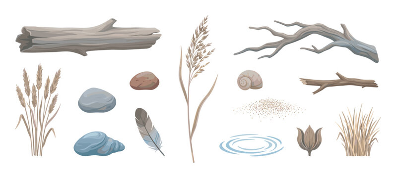 Collection of natural riverside elements including driftwood, reeds, stones, shells, and a feather in a calm, earthy vector illustration style for decorative design