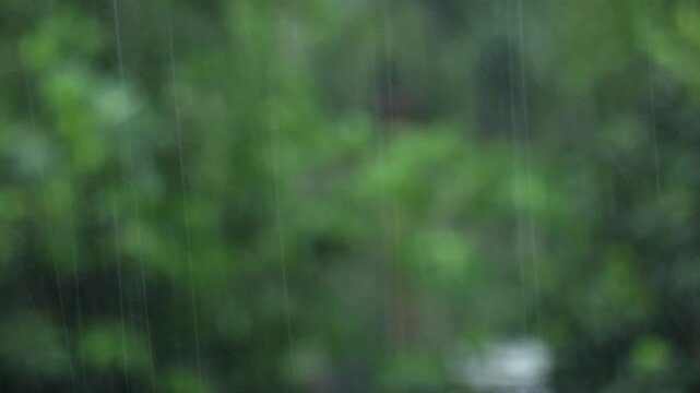 Abstract Rainy Weather Background with Green Nature. Monsoon Rain on Defocused Green Leaves.