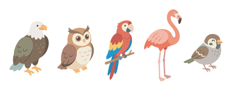 Five different illustrated bird characters in a row, featuring an eagle, owl, macaw, flamingo, and sparrow, all rendered in a charming and simple flat cartoon design