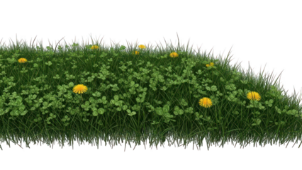 Lush green grassy verge with dandelions against a black background