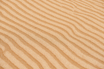 Obraz premium Sand ripples forming abstract desert pattern texture.