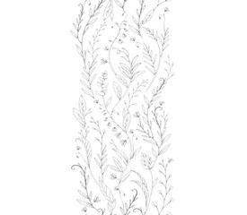 Obraz premium Botanical seamless horizontal border with detailed various foliage, intricate details and delicate forms. Elegant floral rustic design elements. Hand drawn vintage vector