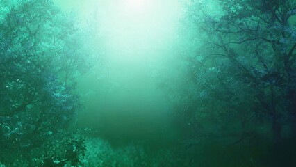 Fototapeta premium Enchanted Forest in Emerald Green Mist
