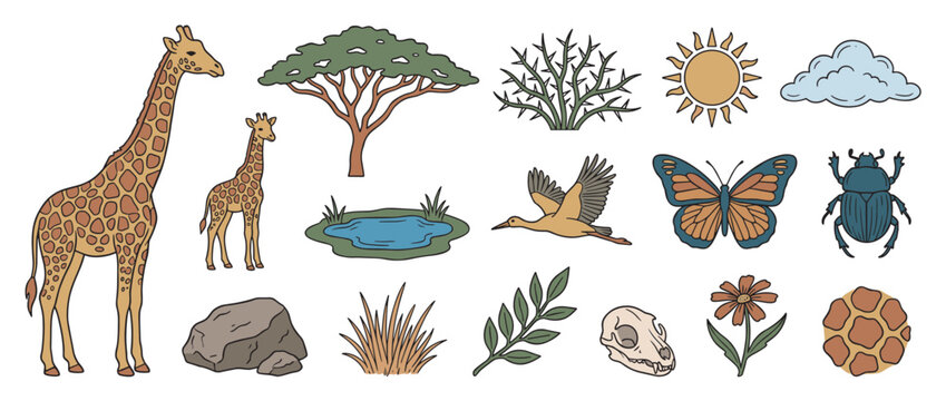 Collection of hand-drawn savanna illustrations featuring a giraffe, acacia tree, butterfly, and other wildlife elements in a charming, colorful doodle style