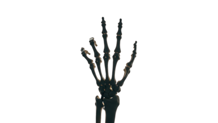 Rendered skeleton hand with visible bones against a stark black background