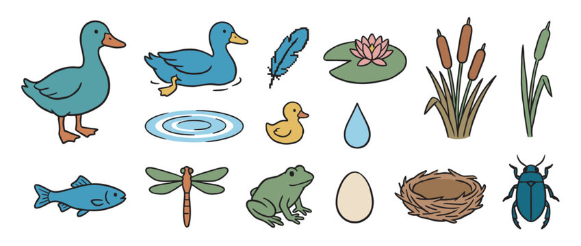 Colorful collection of pond life illustrations featuring a duck, frog, fish, dragonfly, and water lily in a charming hand-drawn cartoon style for educational or decorative use