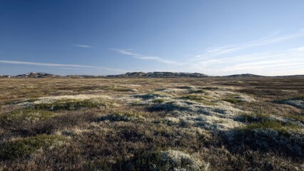 Fototapeta premium Arctic Tundra Landscape, Alaska
