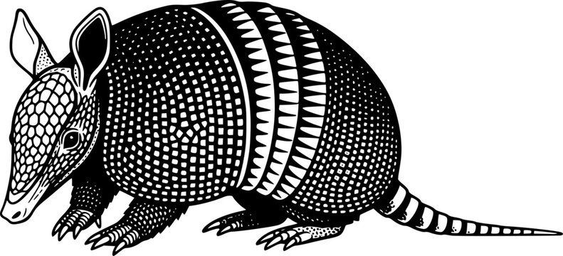 Armadillo vector illustration silhouette cute mammal animal drawing graphic art design isolated on white
