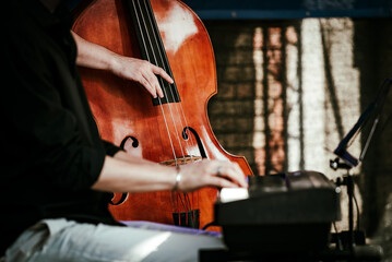 Hands of musicians playing double bass and piano