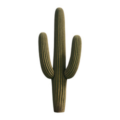 PNG Realistic desert cactus illustration.