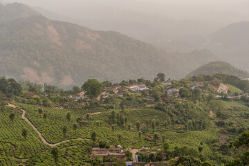 Munnar - Kerala - Tea Plantations and Mattupetty Dam - Kerala Tourism