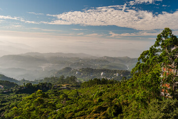 Fototapeta premium Munnar - Kerala - Tea Plantations and Mattupetty Dam - Kerala Tourism