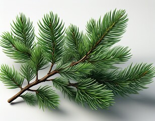 Obraz premium hd realistic fir tree twig isolated on white