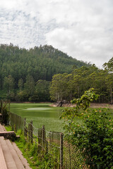Fototapeta premium Munnar - Kerala - Tea Plantations and Mattupetty Dam - Kerala Tourism