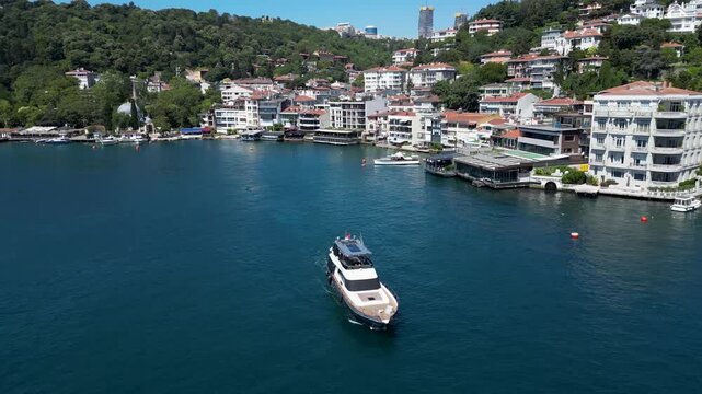 bebek