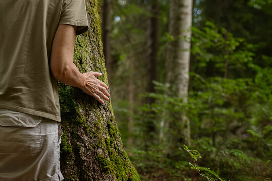 Sensory forest bathing experience: a woman hugging a tree, feeling the bark. Peace and wellness.