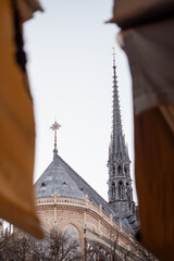 Creative view of Notre-Dame Cathedral in Paris 23 - France