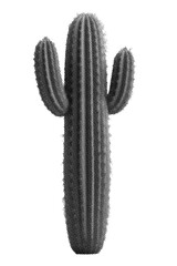 Vintage style cactus illustration in halftone texture, black and white isolated graphic suitable for western themes, nature design and retro projects. © Str.nk