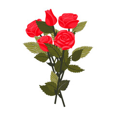A bouquet of bright red roses. A set of four graceful blooming flowers and a bud. Vector illustration on a white background.