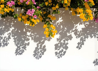 Beautiful flowering plant with pink and yellow flowers and green leaves on white wall