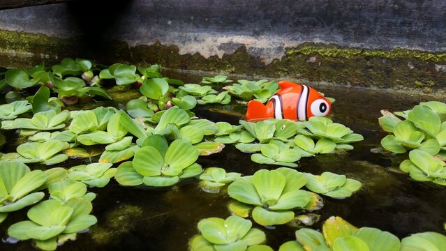 D&eacute;tail macro des feuilles de laitues d'eau montrant une texture g&eacute;om&eacute;trique naturelle