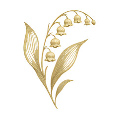 Fototapeta premium PNG Elegant golden floral illustration