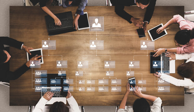 Corporate org chart and team structure show hierarchy, team, and structure for clear organization, management, and operational planning Vouch