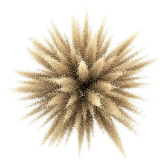 Fototapeta premium Exploding dust cloud of beige particles
