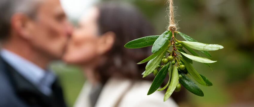 A couple kisses tenderly beneath the mistletoe plant.
