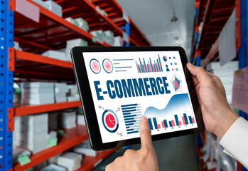 E-commerce data software provide modish dashboard for sale analysis to the online retail business