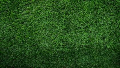 Fototapeta premium Green Grass Background Texture