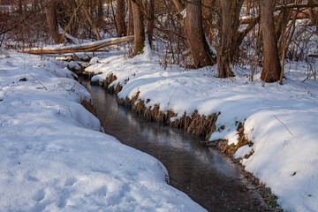 Narrow forest stream flowing through a snowy winter woodland. Snow-covered banks, frozen water and bare trees create a calm, natural winter landscape