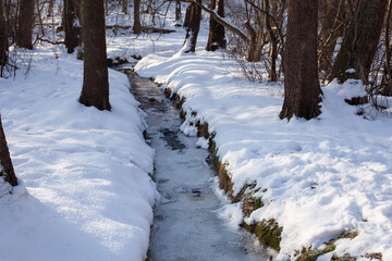 Small forest stream flowing through a snowy winter woodland. Frozen water, snow-covered banks and trees create a calm, natural winter landscape and peaceful seasonal atmosphere