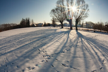 Low winter sun casting long tree shadows across a snowy field. Calm rural landscape with open space, minimal composition and golden light, symbolizing time, stillness and seasonal transition