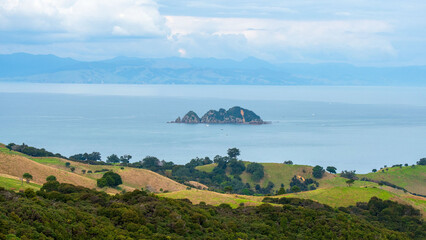 Rolling Green Hills Overlooking Island in New Zealand Bay © Nadiia