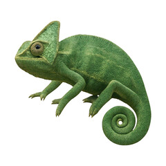 Obraz premium PNG Realistic green chameleon illustration.