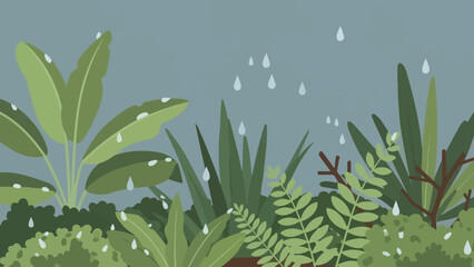 Lush Green Foliage with Raindrops on Leaves. © Haroh