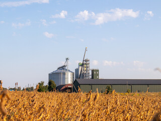Harvesting season with silos and fields of crops visible © bltvmax