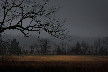 Overcast day in Cades Cove