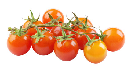 Cherry Tomatoes on the Vine