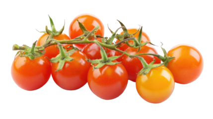 Cherry Tomatoes on the Vine