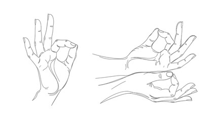 Fototapeta premium Hand gestures and sign language illustration set, showcasing various hand positions and finger arrangements in a minimalist line art style