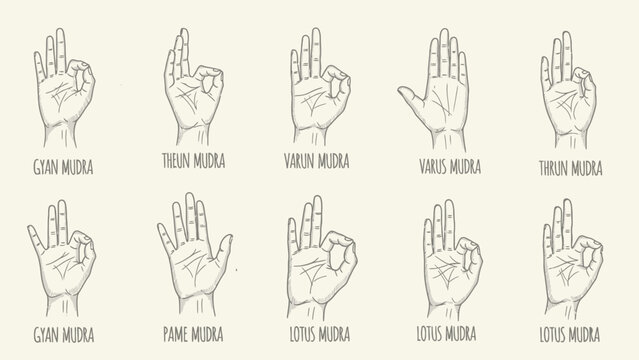 Hands in various mudras depicted in a minimalist line art style against a neutral background from a front viewpoint