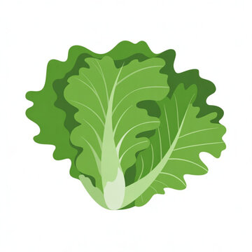 A vibrant green lettuce leaf vector graphic on a clean white background